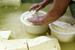 Production de fromage